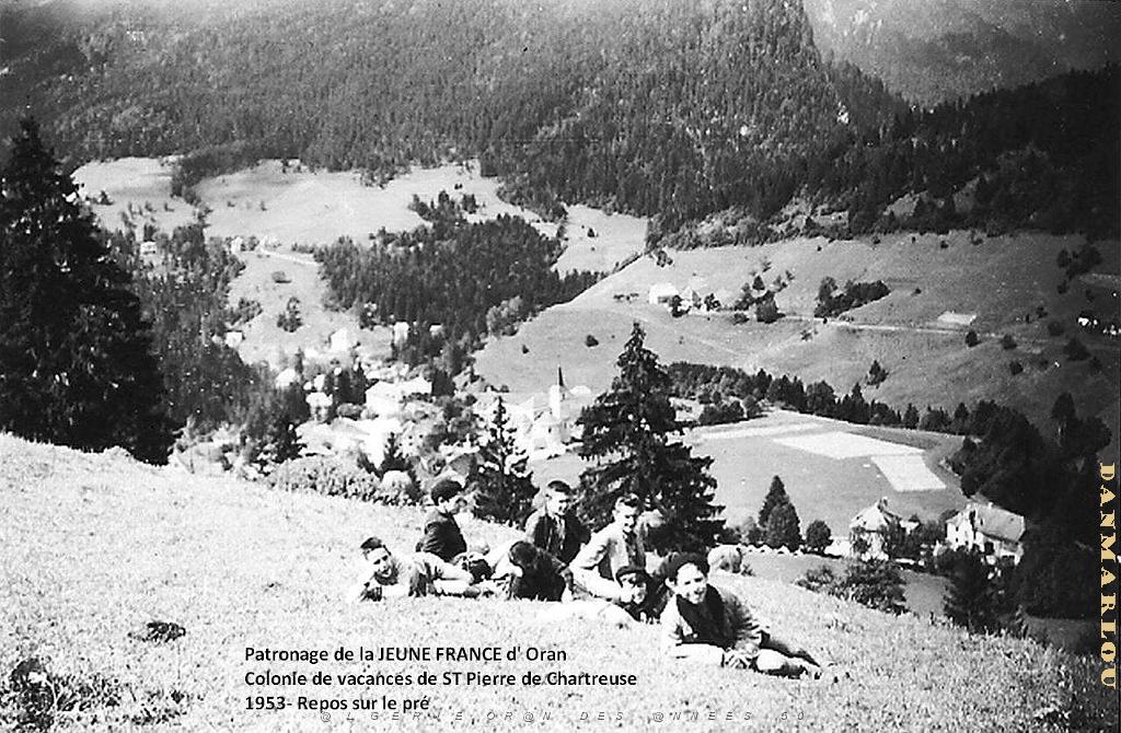 COLO JEUNE FRANCE 1953 repos sur le pre.jpg